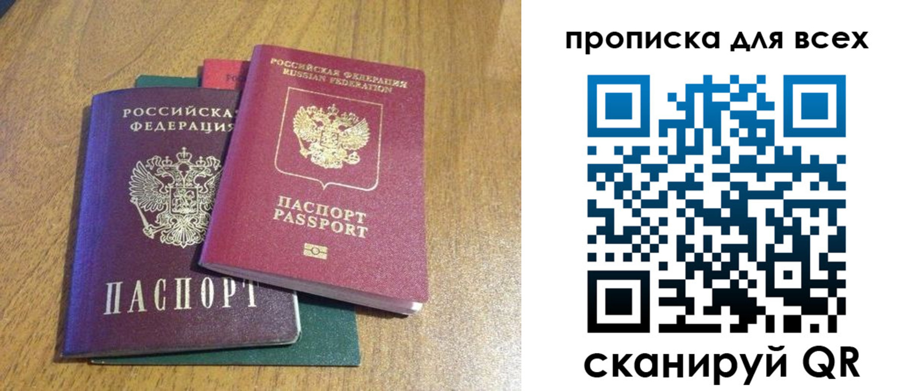 прописка гарантия в Стародубе